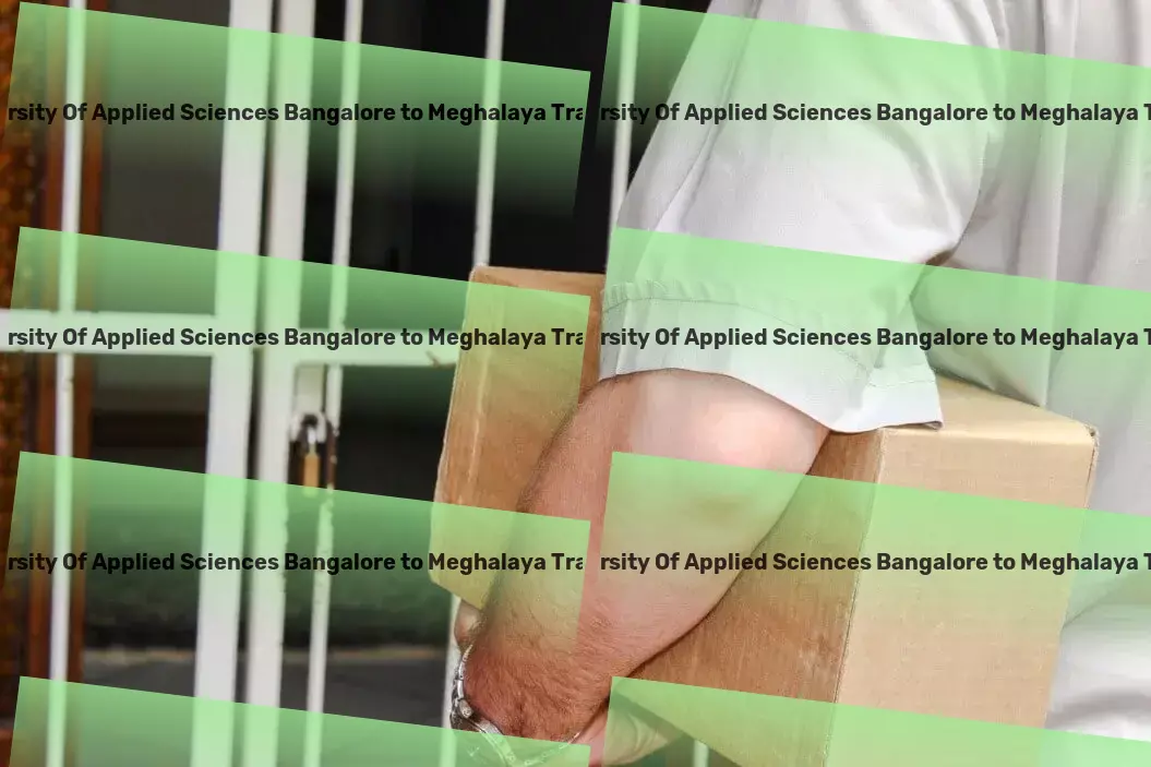 Ramaiah University Of Applied Sciences Bangalore to Meghalaya Transport Full-scale cargo operations