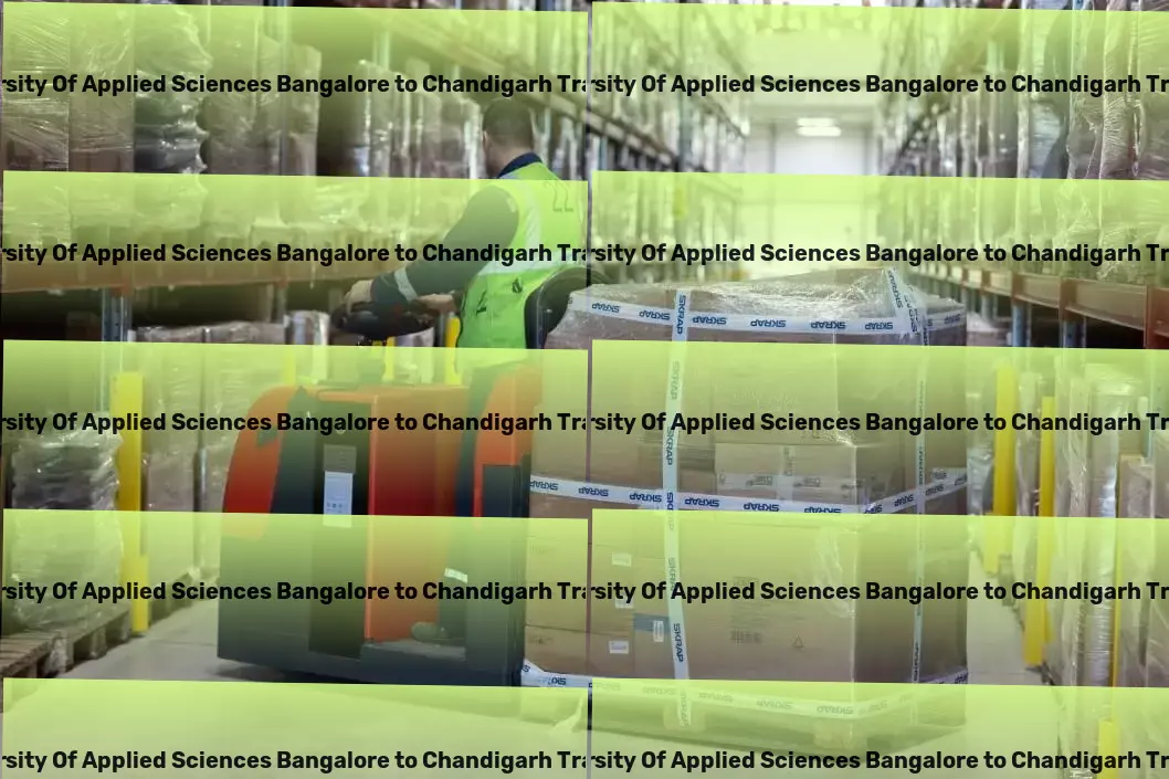 Ramaiah University Of Applied Sciences Bangalore to Chandigarh Transport High-capacity freight forwarding