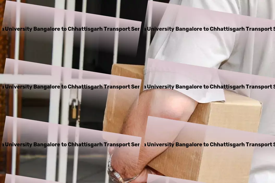 Reva University Bangalore to Chhattisgarh Transport Personalized transport solutions designed for Indian markets! - Direct freight services