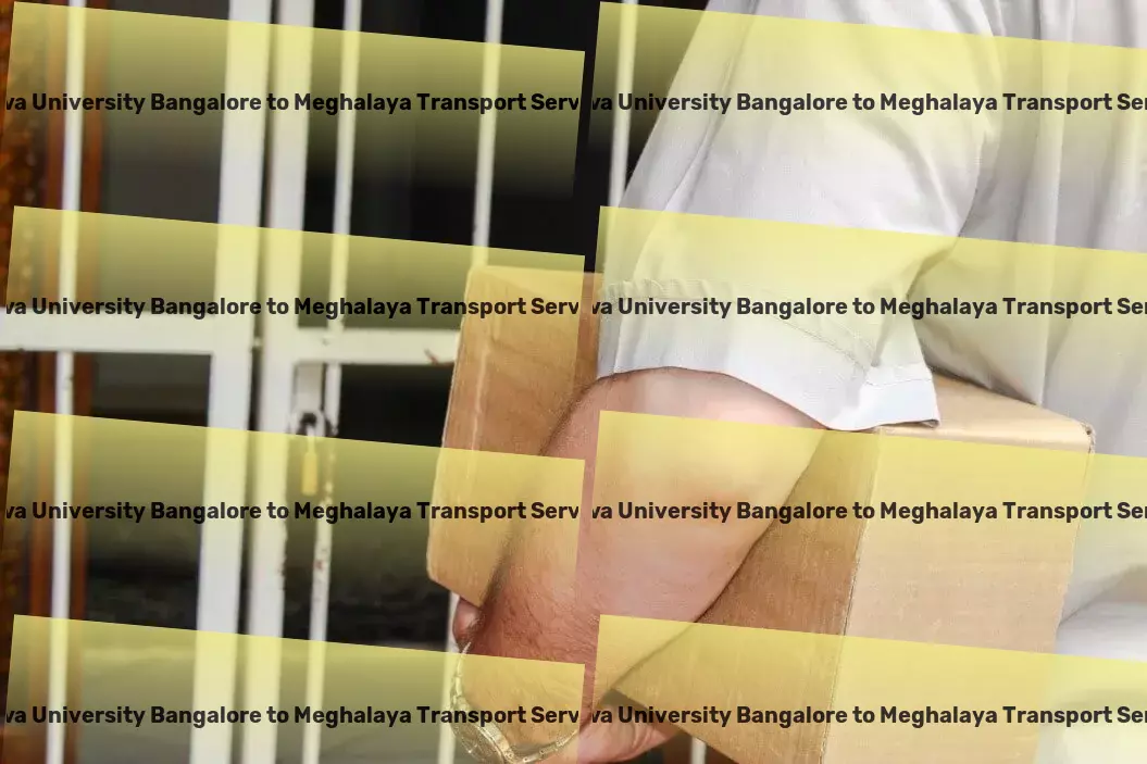 Reva University Bangalore to Meghalaya Transport Special cargo services