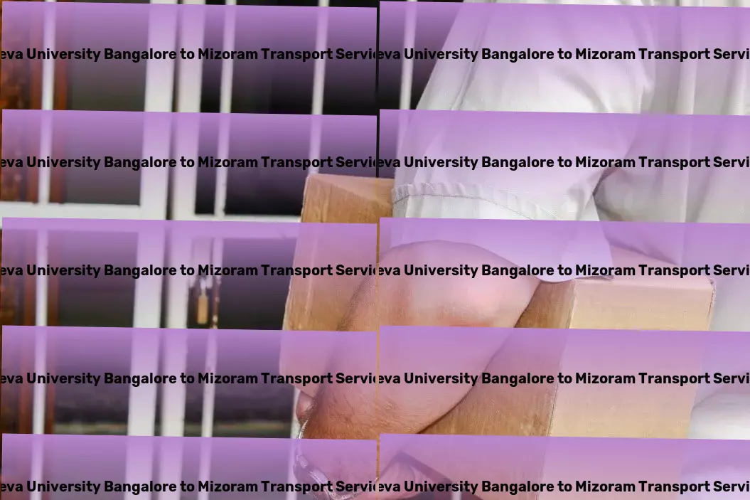 Reva University Bangalore to Mizoram Transport Warehouse logistics