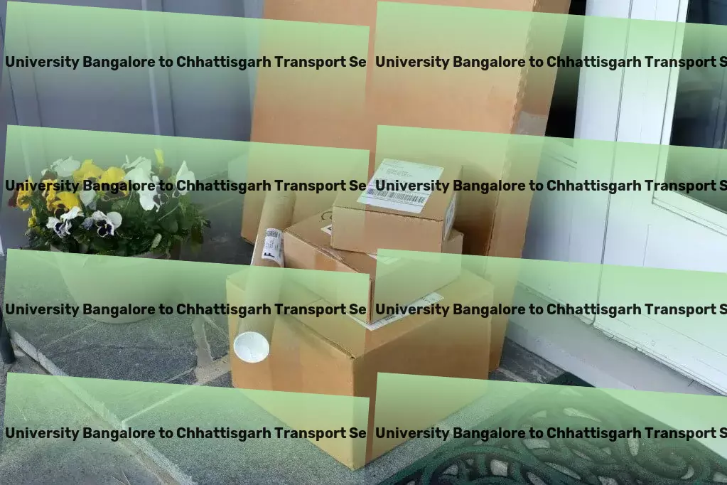 Reva University Bangalore to Chhattisgarh Transport Specialized freight operations