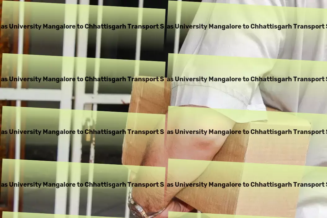 Srinivas University Mangalore to Chhattisgarh Transport Simplify your shipping with our Indian transport excellence! - Commercial shipping solutions