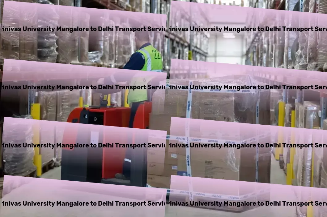 Srinivas University Mangalore to Delhi Transport General cargo transport