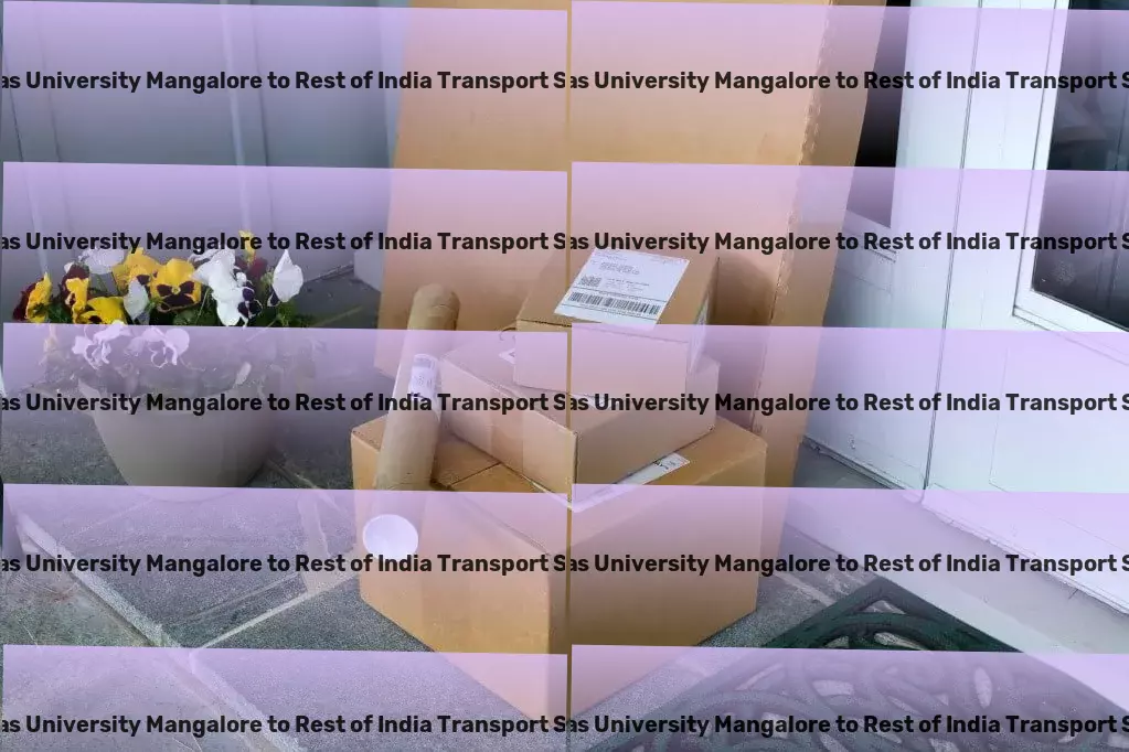 Srinivas University Mangalore to Rest Of India Transport Heavy cargo logistics