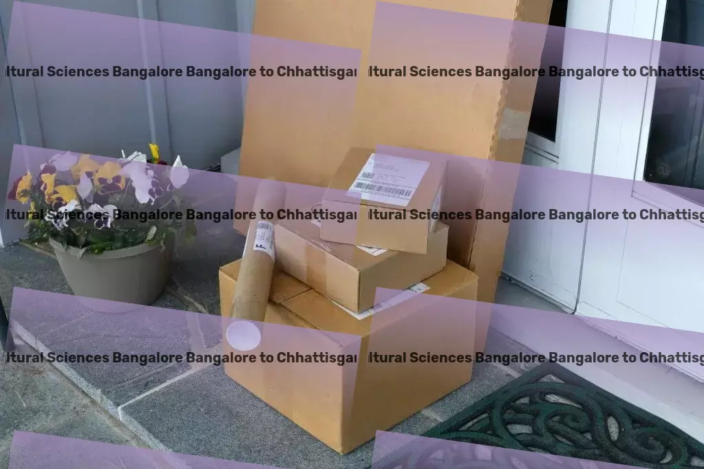 University Of Agricultural Sciences Bangalore Bangalore to Chhattisgarh Transport Comprehensive goods transport