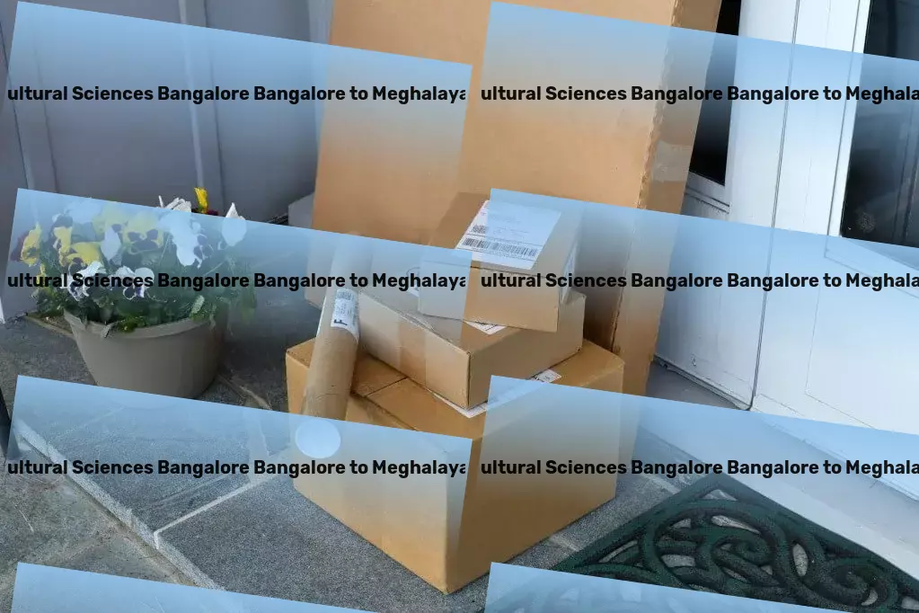 University Of Agricultural Sciences Bangalore Bangalore to Meghalaya Transport Bringing efficiency to your doorsteps! - Customized goods logistics