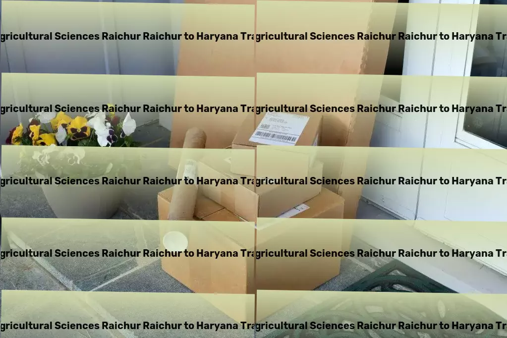 University Of Agricultural Sciences Raichur Raichur to Haryana Transport High-speed goods shipment services