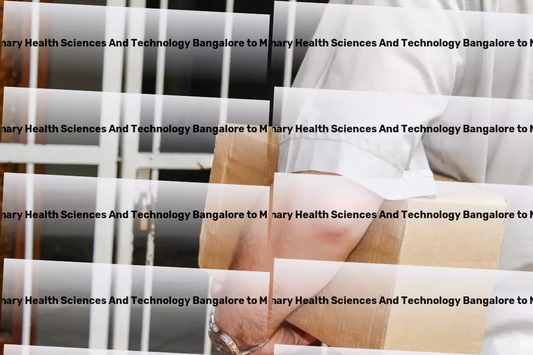 University Of Trans Disciplinary Health Sciences And Technology Bangalore to Meghalaya Transport Your strategic ally in conquering logistic hurdles across India. - Nationwide delivery coordination