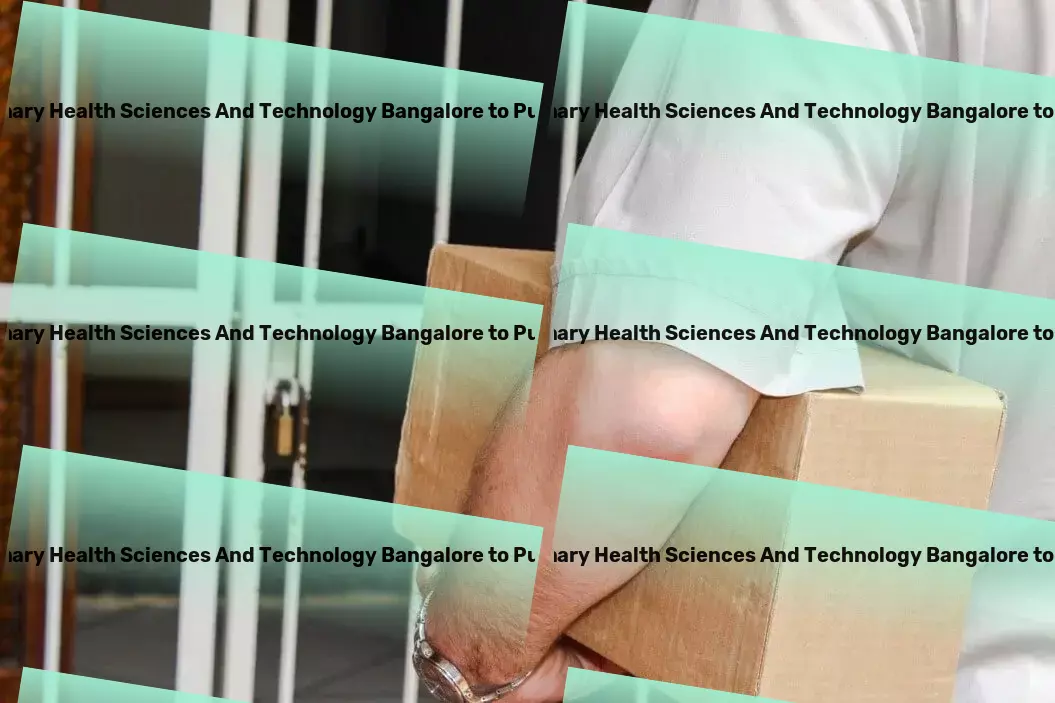 University Of Trans Disciplinary Health Sciences And Technology Bangalore to Puducherry Transport Expertise in Indian transport, redefined! - Quick parcel logistics