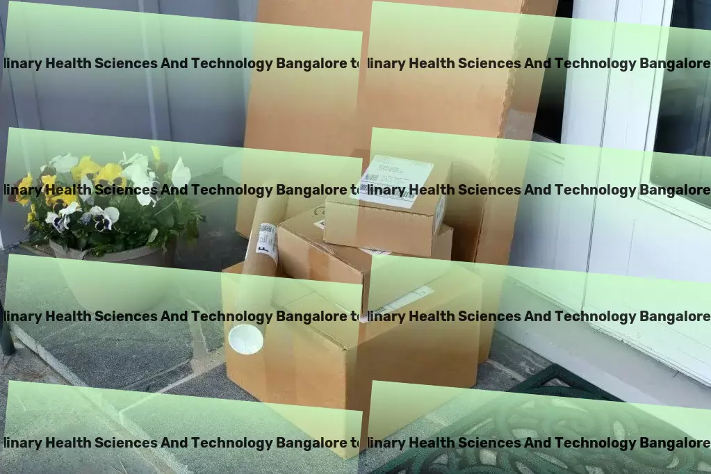 University Of Trans Disciplinary Health Sciences And Technology Bangalore to Assam Transport Custom goods services