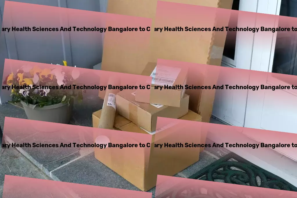 University Of Trans Disciplinary Health Sciences And Technology Bangalore to Chandigarh Transport Partial load shipping