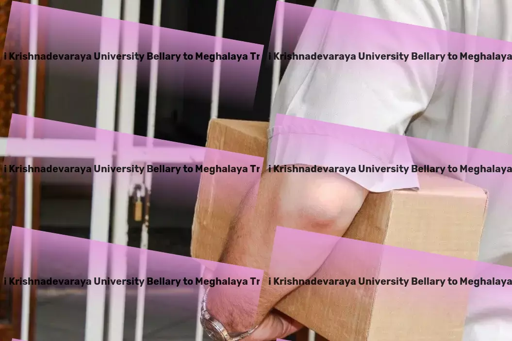 Vijayanagara Sri Krishnadevaraya University Bellary to Meghalaya Transport Solve everyday problems with practical lifehacks. - National goods shipment solutions