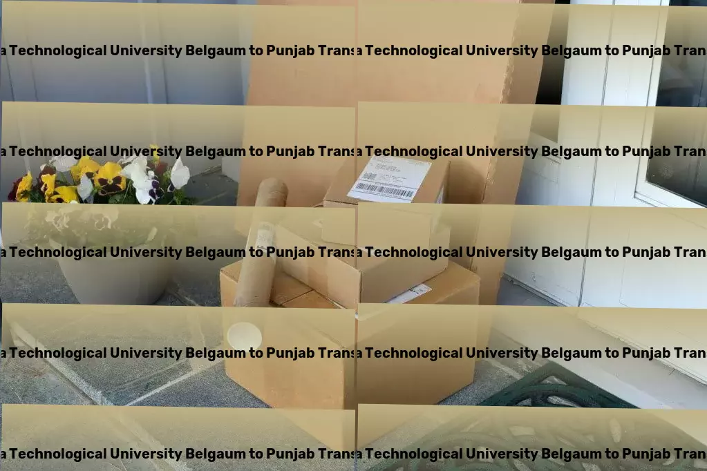 Visvesvaraya Technological University Belgaum to Punjab Transport Full-scale goods shipment services